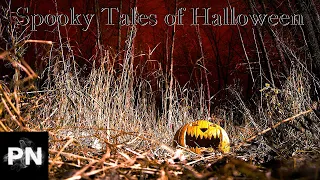 Spooky Tales of Halloween That Will Chill You to the Bone!