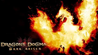 Критика Dragon's Dogma: Dark Arisen