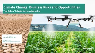 Climate Change: Business Risks and Opportunities - The Role of Private Sector Adaptation