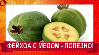 Так вкусно и полезно! Вкуснейшее ФЕЙХОА С МЕДОМ за 10 МИНУТ ПРОСТОЙ РЕЦЕПТ! / ЧЕМ ПОЛЕЗЕН ФЕЙХОА?