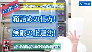 41号/ﾁｪｯｸｼｰﾄ【プチガトーの通常販売⑤】ケーキの箱詰めの仕方!箱詰めの種類は無限!箱詰めマスターまでの道のり!隙間のない、横揺れに強い箱詰めをする!人の箱詰めを見る!自分の箱詰めを見てもらう!