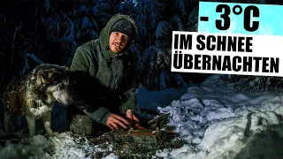 Bei -3°C Grad & Schnee mit Hund im Wald übernachten! Schlafsack & los! Winter BIWAK | Fabio Schäfer