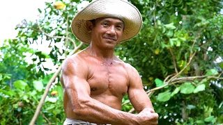 Vua Khỉ Cưa Mé Nhánh Cây Mũ Trôm Siêu Khủng. Sawing a giant Sterculia foetida tree