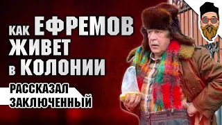 Ефремова в колонии называют дядя Миша, сидит с двумя иностранцами и скидывается на "общак"