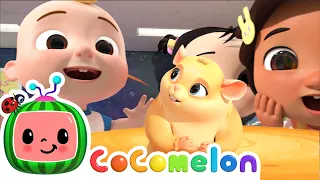 Class Pet Song! | CoComelon Nursery Rhymes