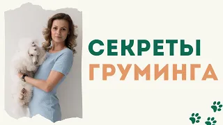 Прямой эфир 8 ноября "Секреты груминга" от Анны Шишкиной