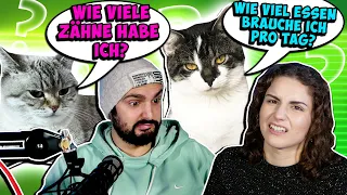 WIE GUT KENNEN WIR UNSERE KATZEN?! Samira, Hefe & Kiba sind jetzt sehr enttäuscht von Kaan & Dania 😾