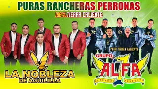 La Nobleza De Aguililla y Alfa 7 - 100% Tierra Caliente Mix 2023 - Corridos Y Rancheras Perronas