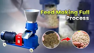 Feed Making Full Process | Pellet Feed Machine | Western Agriculture Machinery | Zhengzhou, China