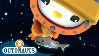 Octonauts - Dwarf Lantern Shark & The Crafty Cuttlefish | Cartoons for Kids