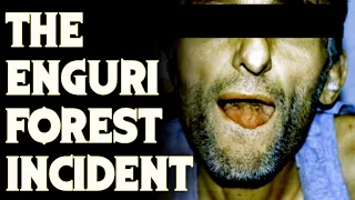 The Enguri Forest Incident