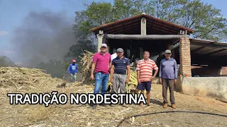 MOAGEM DE CANA TRADICIONAL DO SERTÃO NORDESTINO NO ENGENHO DE MAROTÃO EM VERDEJANTE PERNAMBUCO.