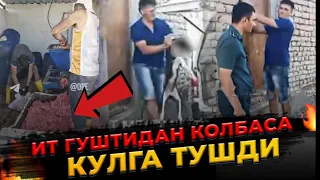 ДАХШАТ ! КУЛГА ТУШДИ ! КУЧУК ГУШТИДАН КАЛБАСА