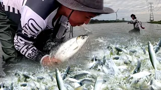 Ngayon Lang Nangyare To! Matinding Sigawan At Habulan Sa Mga Halimaw na Bangus Na Huli Namin