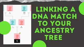 How to Link a DNA Match to your Ancestry Tree