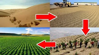 Food Security- Agriculture in Desert - Dake Rechsand brings Miracle Sand for Plants in Middle East