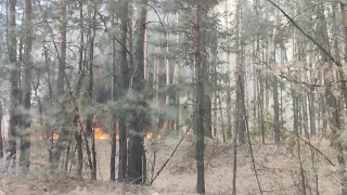 Пожар Луганская область