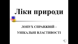 ЛОПУХ СПРАВЖНІЙ – унікальні властивості