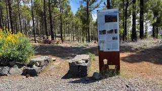 Pozo de Nieve Grande - Vega de San Mateo (abril 2021)