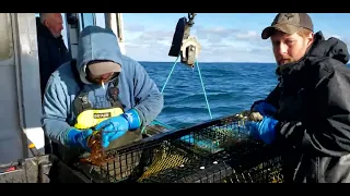Lobster Fishing on the 'Twilight Dreamer Too,' on Dec 4, 2019.