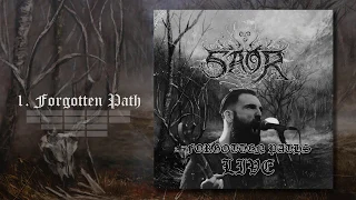 Saor - Forgotten Paths (Live Full Album) (SAOR LIVE)