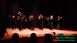 IV CERTAMEN DE DANZA Y FLAMENCO. "Adagio Flamenco" 05/12