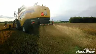 Harvest in Finland 2019/ Vehnän puintia 2019