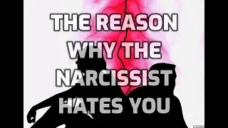 The Reason Why The Narcissist Hates You