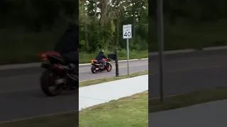 VTR1000 Wheelie