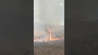 'Firenado' caught on camera during mountainside blaze 🔥🌪️ | #shorts #wildfire