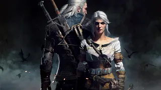 The Witcher 3: Wild Hunt on Core 2 Quad Q6600 2.7GHz GTX 1650 1080p Med