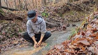 LIVE Georgia Gold panning in PUBLIC #americasbackyardgold