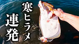 冬のサーフでヒラメを釣ったこのルアー＆釣り方を知ってほしい【 ヒラメ釣り 】