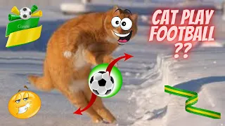 Funniest Animals 2022-23 😂 Funniest Cats and Dogs 😺🐶 Part #24 | Pets Family