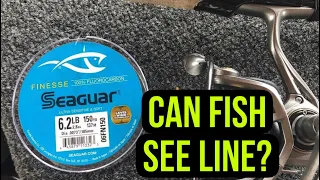 Can Fish See Fishing Line?