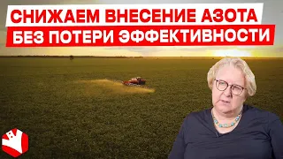 Снижаем внесение азота без потери эффективности | Растениеводство | КУЛЬТИВАТОР