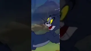 Tom and Jerry ! #animation #shorts #wb #wbkids #kidstom ! tom enjoy with fishes