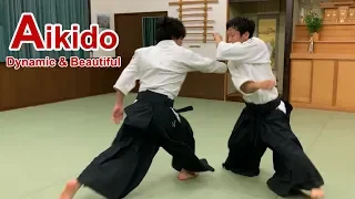 Dynamic and beautiful Aikido ‐ Shirakawa Ryuji shihan