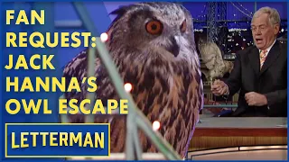 Fan Request: Jack Hanna's Giant Owl Escapes | Letterman