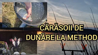 Au inceput CARAȘI MARI pe dunare . Pescuit la method printre agataturi , caras mare