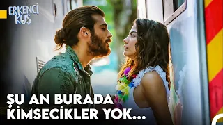 Sanem'in Aşkı Bulma Yolculuğu #35 - Erkenci Kuş