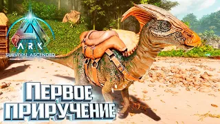 Тут Безумно КРАСИВЫЕ Ночи - Survival Ascended Выживание #2