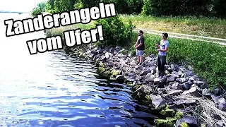 Zander angeln vom Ufer | 3 Tipps für MEHR Zander!