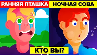 Жаворонок против Совы - Кем из них СЛЕДУЕТ БЫТЬ - Кто из них ТЫ?