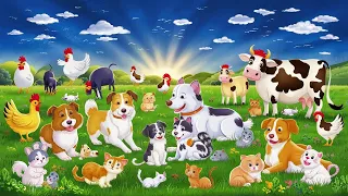 ANIMALS FOR KIDS  Teach your baby to learn the names of animals dog, chicken, cat, cow, mouse  Turtl
