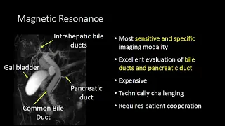 GI imaging - Hepatobiliary and Pancreatic Imaging Modalities