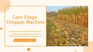 Corn Silage Chopper Machine:chaff cutter machine for dairy farm