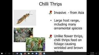 Consulting Rosarian Seminar Insects and Disease