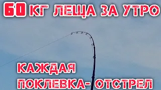 НАЛОВИЛ 60 КГ за УТРО на РЕКЕ КАЖДАЯ ПОКЛЁВКА - ОТСТРЕЛ КАК ЛОВИТЬ ЛЕЩА ВЕСНОЙ