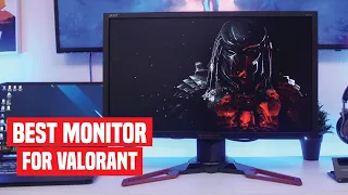 5 Best Monitors For VALORANT In 2024 (240Hz, 144Hz)